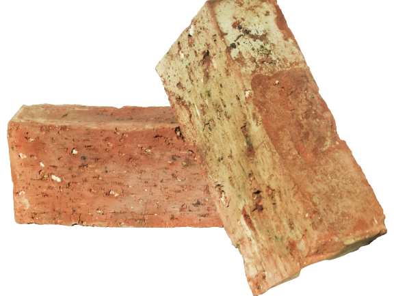 Solid_B_NFX_edited1-removebg-preview